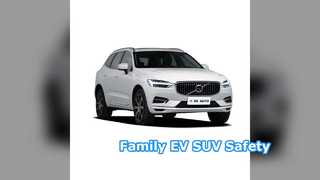 48v লাইট হাইব্রিড EV SUV ফ্যামিলি কার