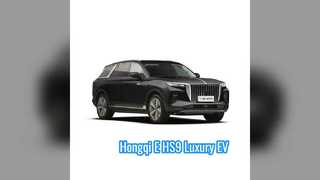 Hongqi E-HS9 7 আসনের EV SUV লং রেঞ্জ